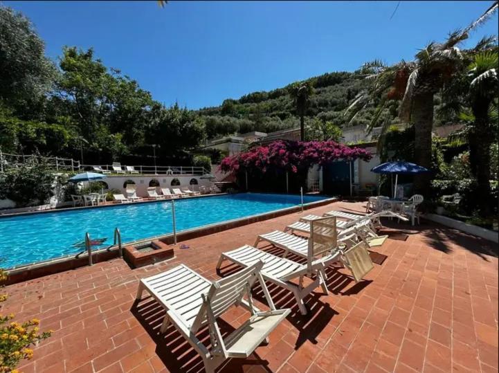 Un Paradiso A Sorrento Con Piscina Massa Lubrense Exterior foto