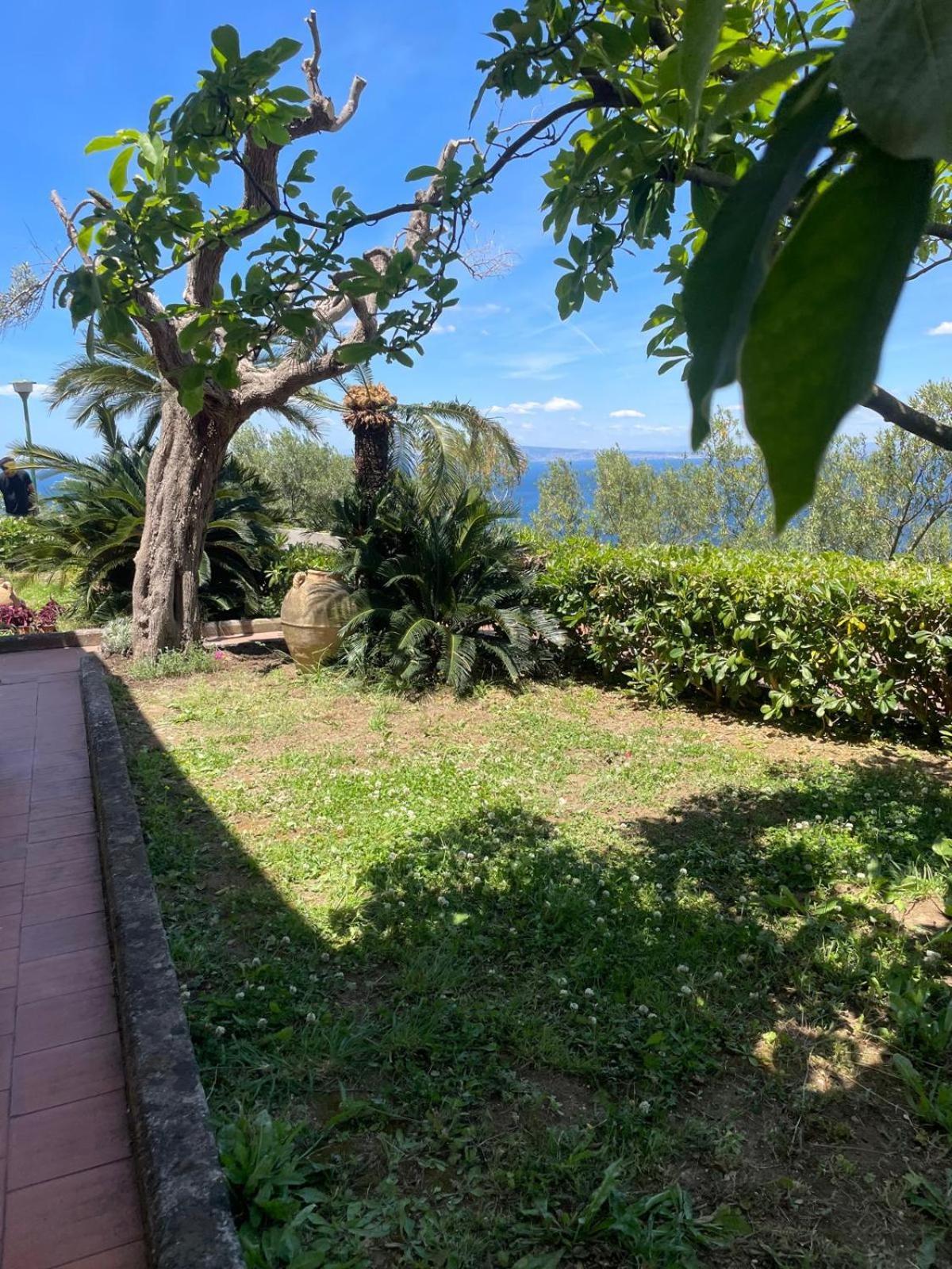 Un Paradiso A Sorrento Con Piscina Massa Lubrense Exterior foto